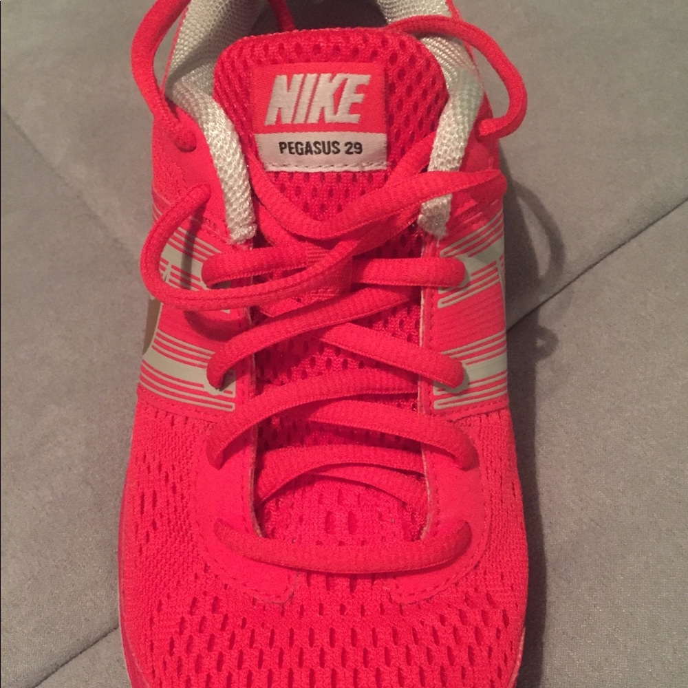 Nike Pegasus 29